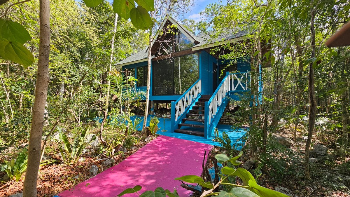 Energy Tulum tweet media