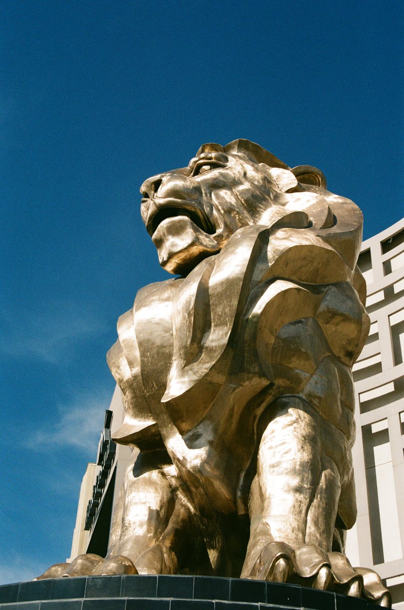 Wireframe.srgl 🔜Eufuria tweet media