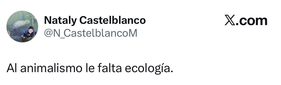 RusbellMD's tweet photo. @andreanimalidad @IreneVelezT Eres una líder de alto reconocimiento, pero en esta ocasión tu postura es equivocada. Bien por @IreneVelezT que hoy protege la fauna silvestre y da una solución a una especie invasora salida de control. 
¡Primero lo nuestro! Esto no son perros, ni gatos domésticos. https://t.co/pyTyvRHMOC