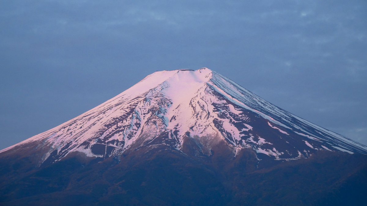 小柴雪 tweet media