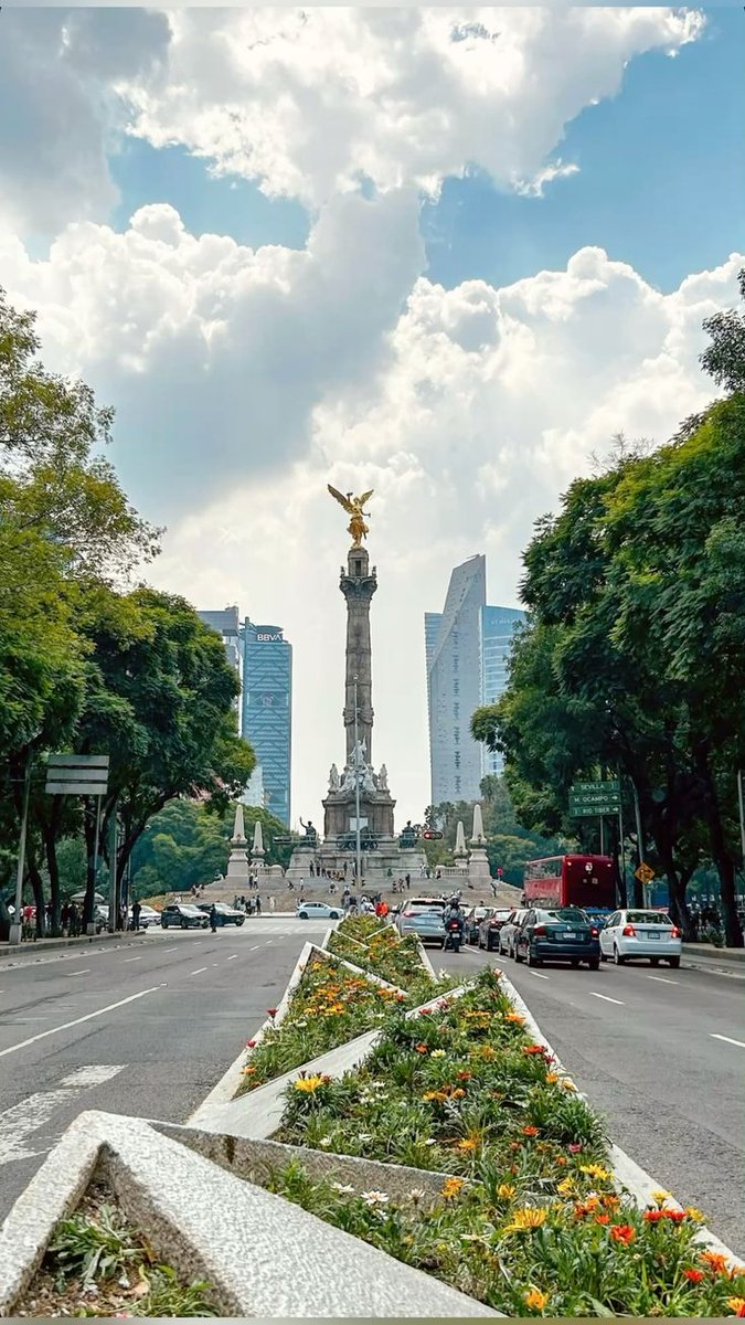 WORLD VIEW tweet media