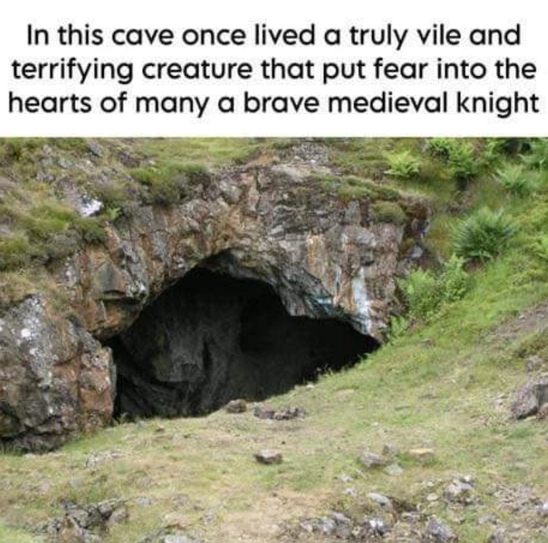 Anti Left Memes tweet media