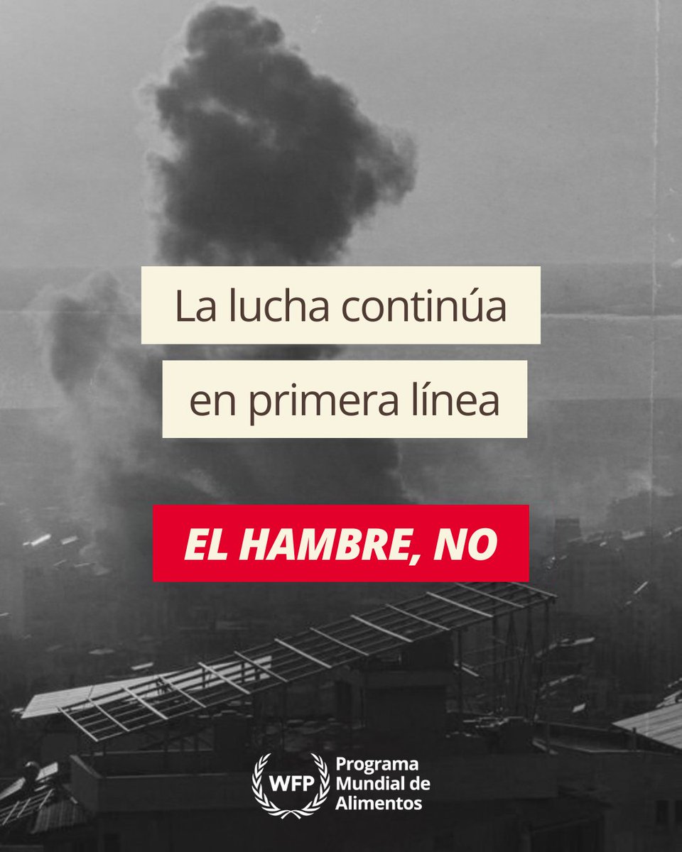 WFP Español tweet media