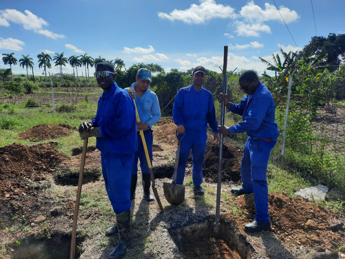 ☀️ 📲La estrategia de la empresa para dotar de vitalidad los servicios incluye la instalación de los Sistemas fotovoltaicos, en funcionamiento en el reparto Torre Blanca de la ciudad cabecera y en la comunidad 50 aniversario en Santa Cruz del Sur.
#EtecsaConCuba