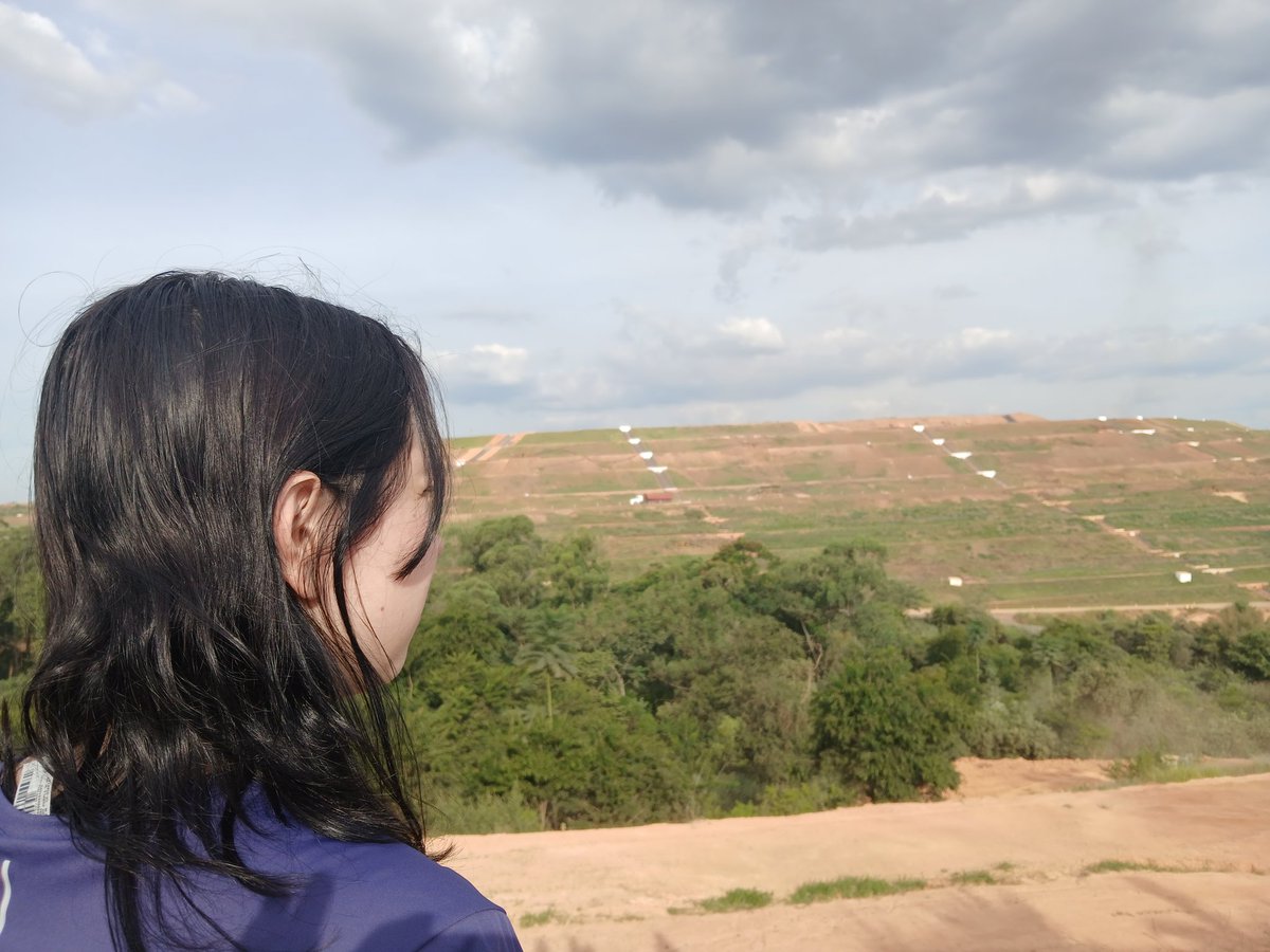 bruce greenstone belt tweet media