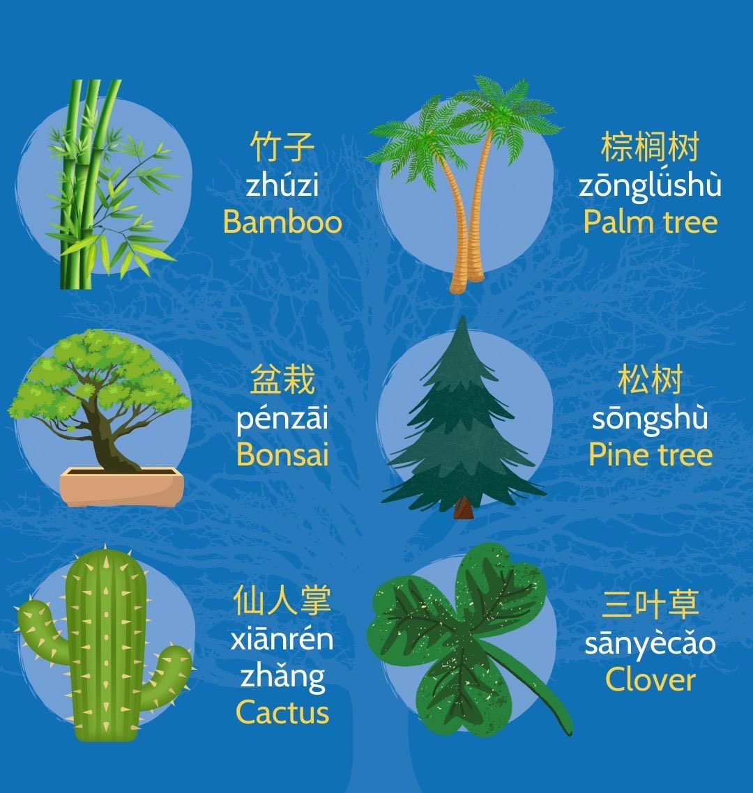 Chinese_KSA_'s tweet image. 🌱