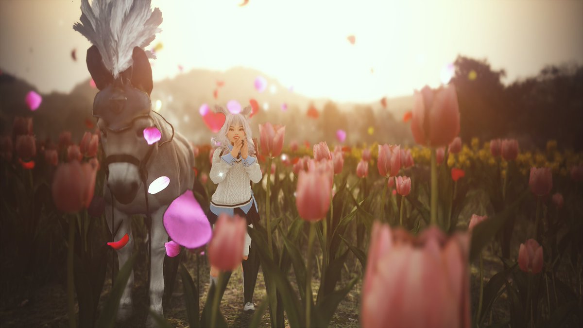 naeliesdiary's tweet image. #BlackDesert #BlackDesertOnline #BDOScreenshot #BDO #BDOShai