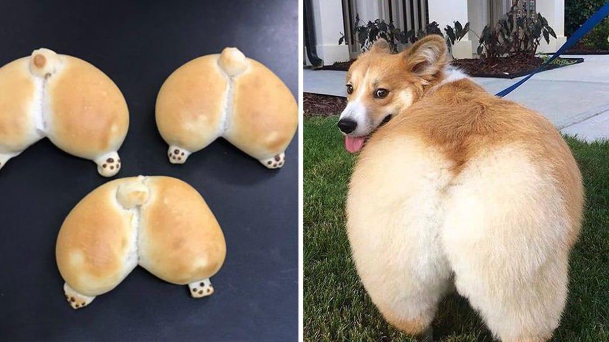 Илья Одинцов tweet media