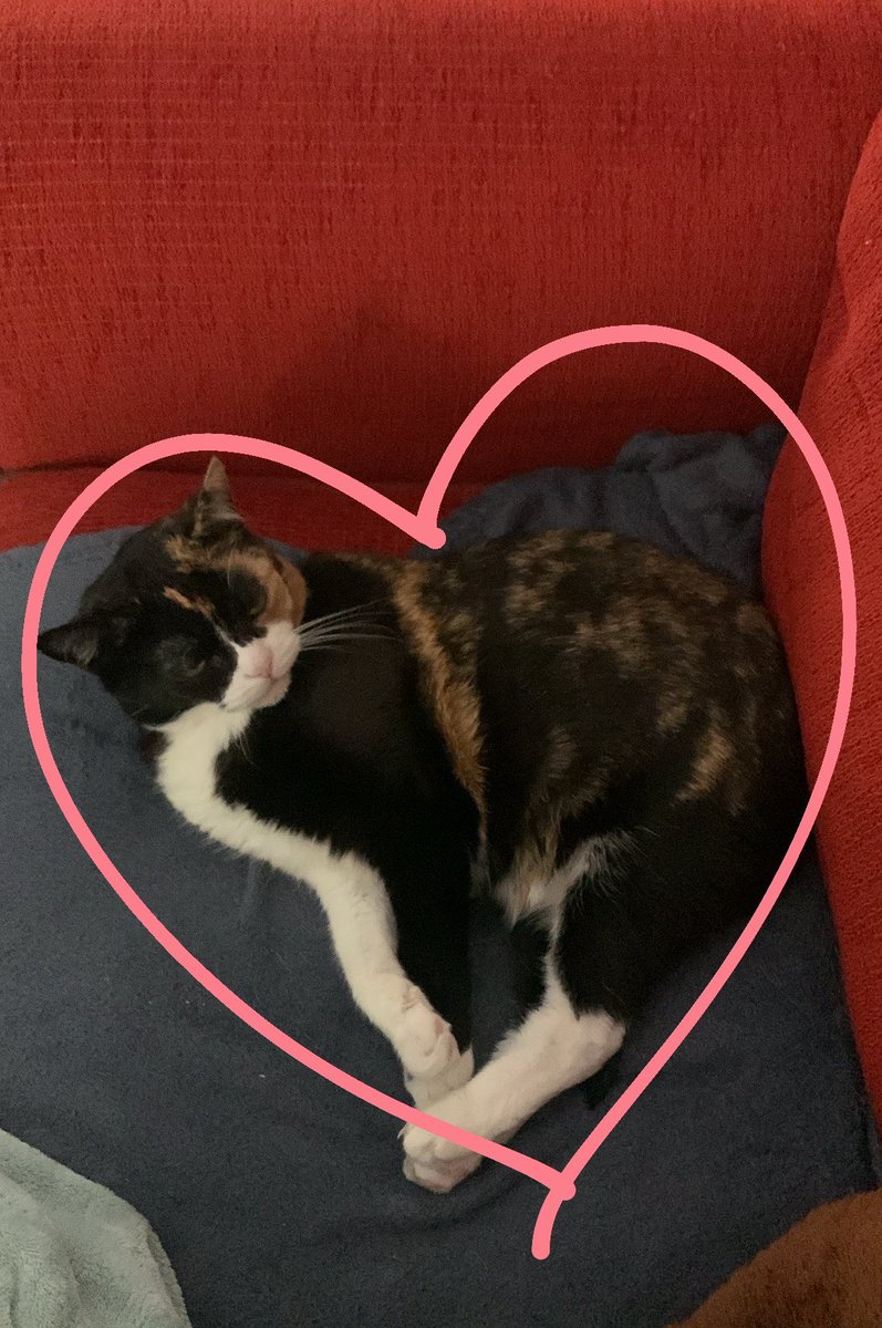 minky goblin tweet media