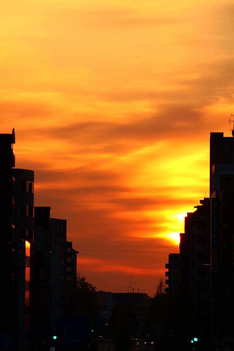 tomohiro323's tweet image. おはよ。
#moon #oha月 #asa月 #お月 
#asa陽 #お日さま #日の出
#そらすき
お月さまが昇ってきたところを撮って
お日様一直線。を撮りに行きましたが
雲がかかっていましてね。
まるさん見えなかったよ。
でも、風も穏やかなよい朝です(^_-)-☆
いってらっしゃい♪