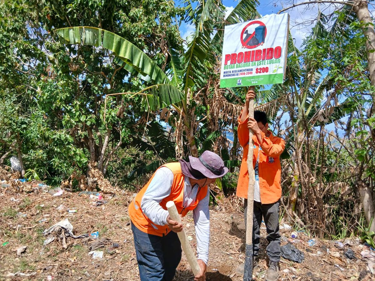 Alcaldiasae's tweet photo. Cuidar nuestros espacios es tarea de todos. ♻️🚯

Este día Protección Civil Municipal instaló rótulos de “No botar basura” en cantón Los Pinos y realizó poda preventiva en cantón El Pezote, caserío El Chorizo, distrito de El Congo. 

#SantaAnaEste #CarolinaEscobar https://t.co/hVi95oNlOm