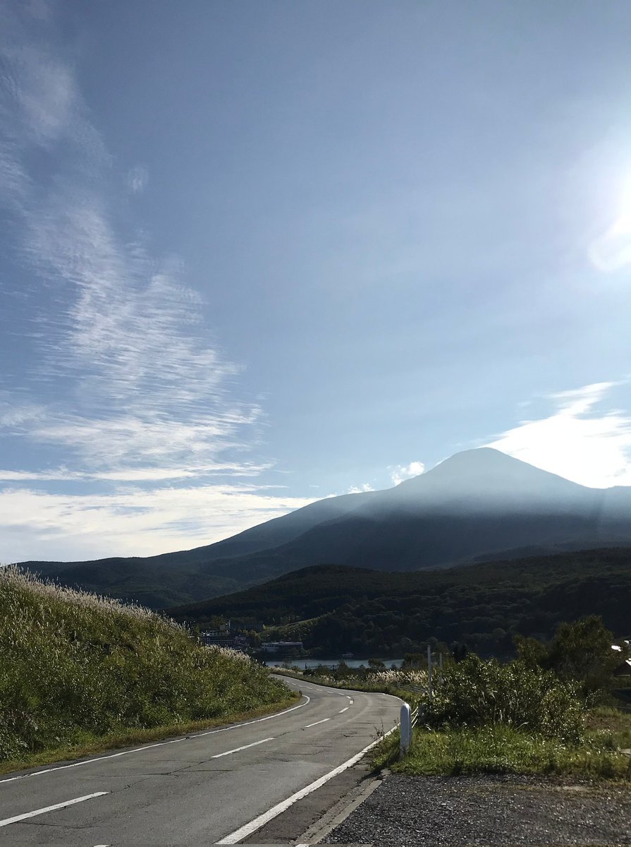 ゆっくり🌷🌷 tweet media