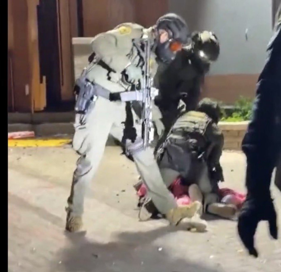 秘伝熟成にんにくタレのだやっ tweet media