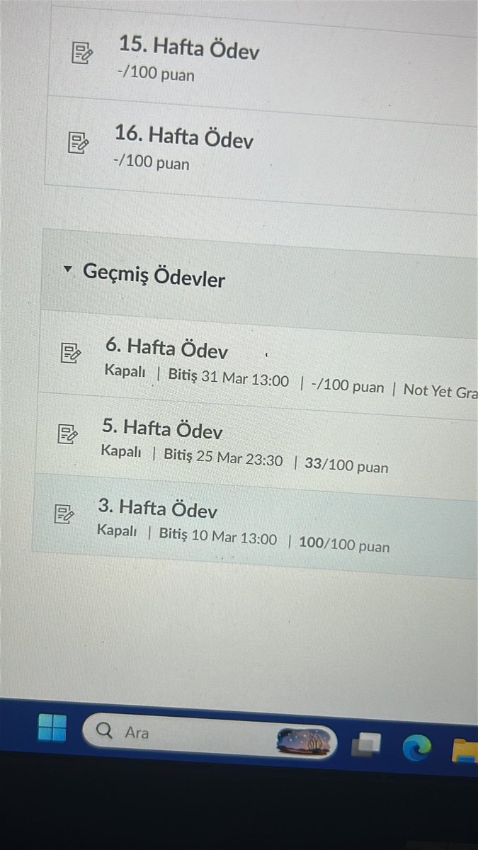 sabishi 🇳🇬 tweet media