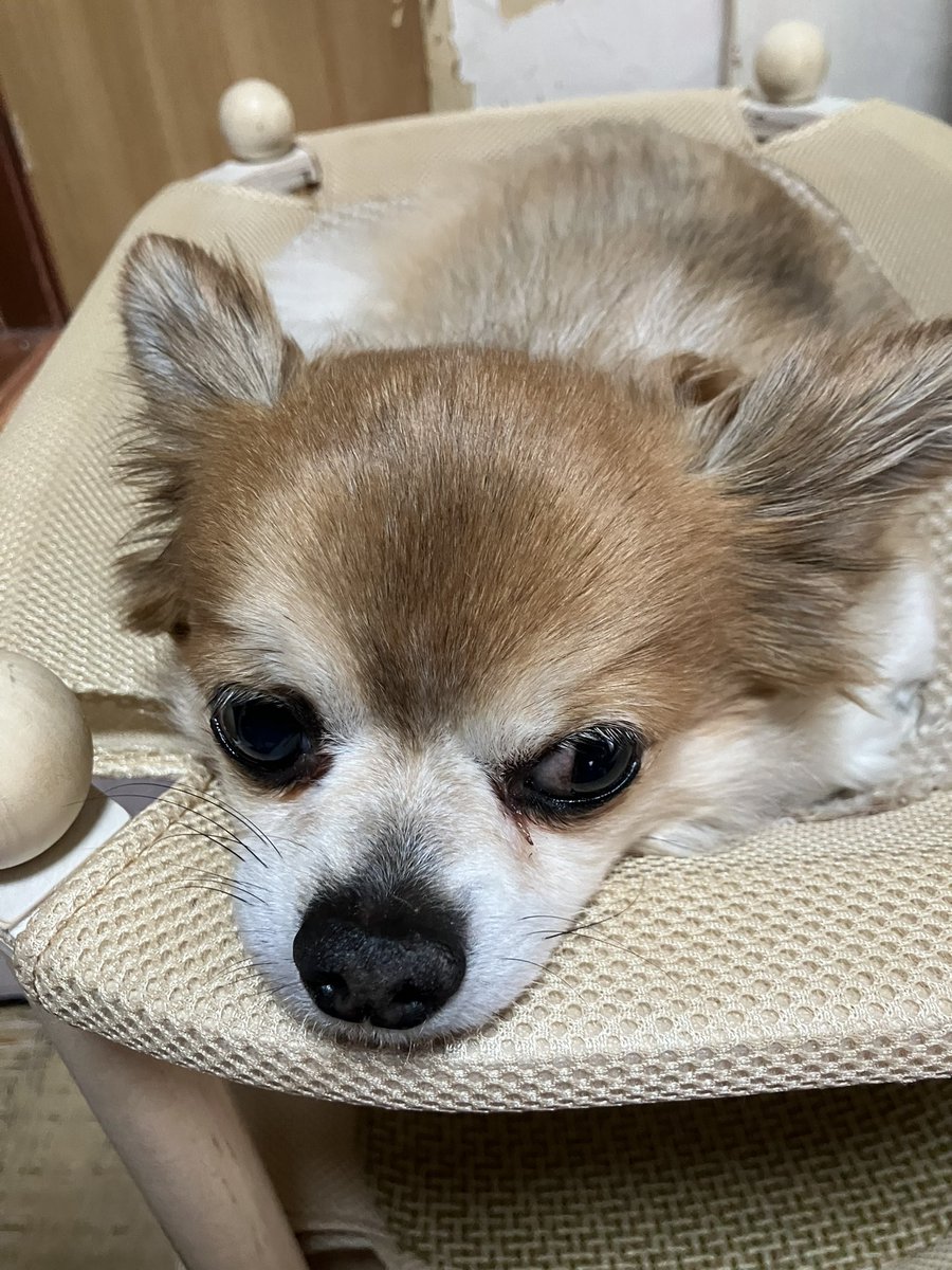 美香❤️ tweet media