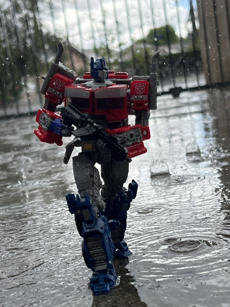 Maximum magnus tweet media