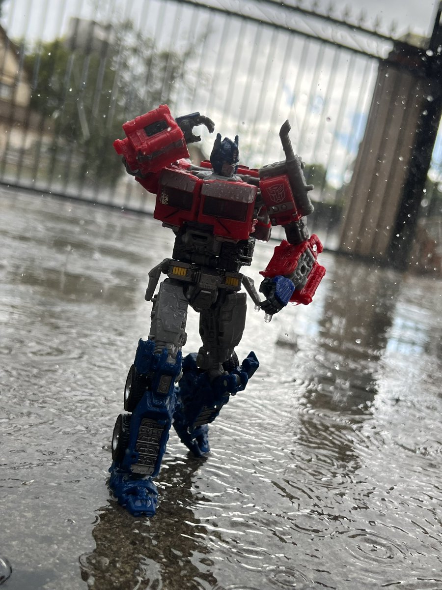 Maximum magnus tweet media