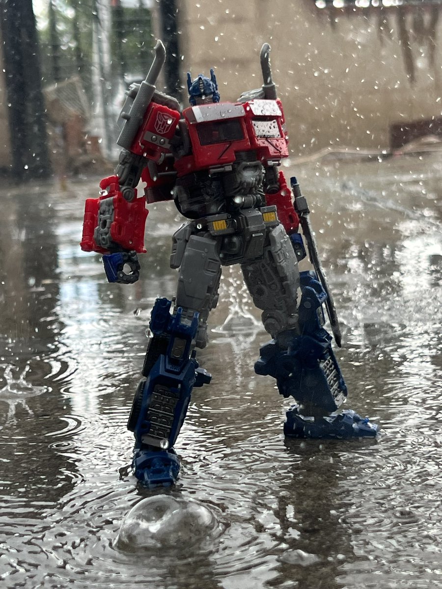 Maximum magnus tweet media