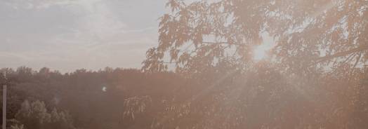 𝐍𝐞𝐫𝐞𝐚 𝐉𝐨𝐲 tweet media