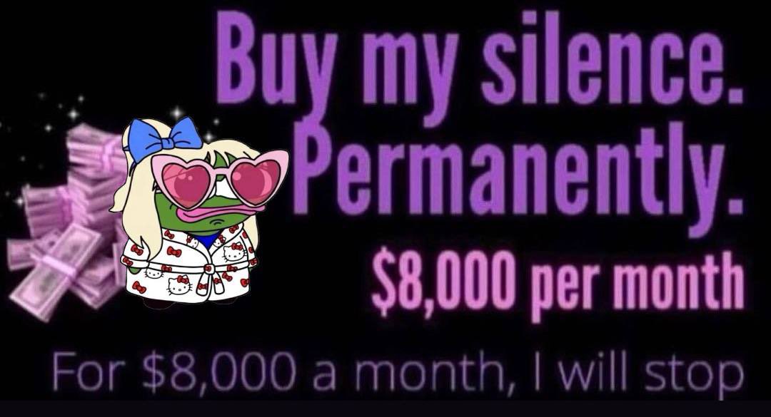 sun pursuits tweet media