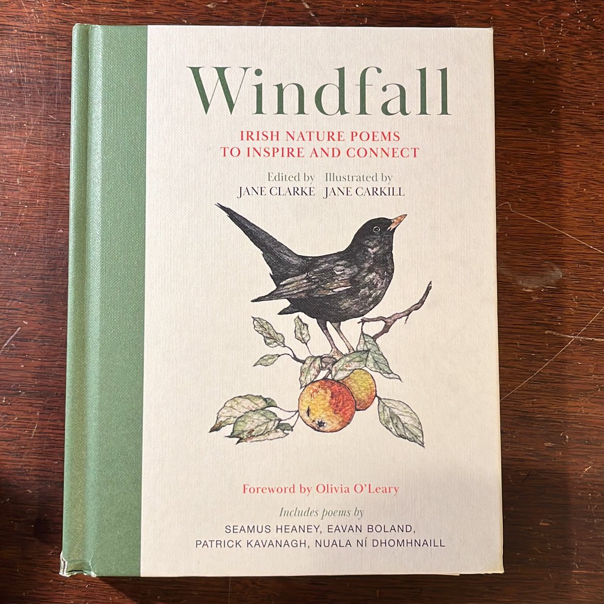 kobweekend's tweet photo. Read Irish Women Challenge 2026
Day 13: A book that is an anthology- Windfall Irish nature poems to inspire and connect. 

#readirishwomen #read #irishwriter #femalewriters @lamblittle_ https://t.co/a4PkqoLU1p