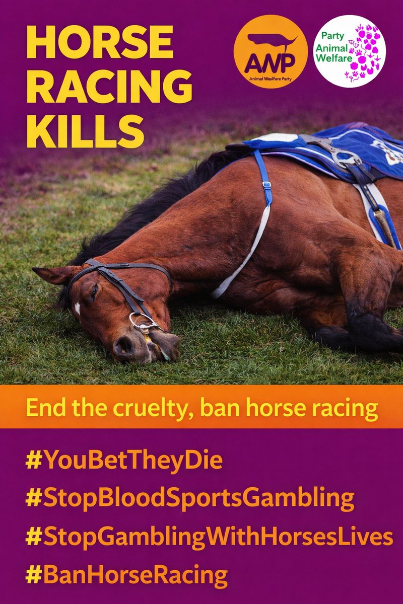 AnimalPartyIE's tweet photo. #restinpeace, #GetOnGeorge, a 6-year-old #horse who lost his life earlier today while being raced at the #grandnational "Festival.”  
#AintreeFestival #cheltenhamfestival 
#YouBetTheyDie  @AnimalsCount https://t.co/Uf9H80ji8Z