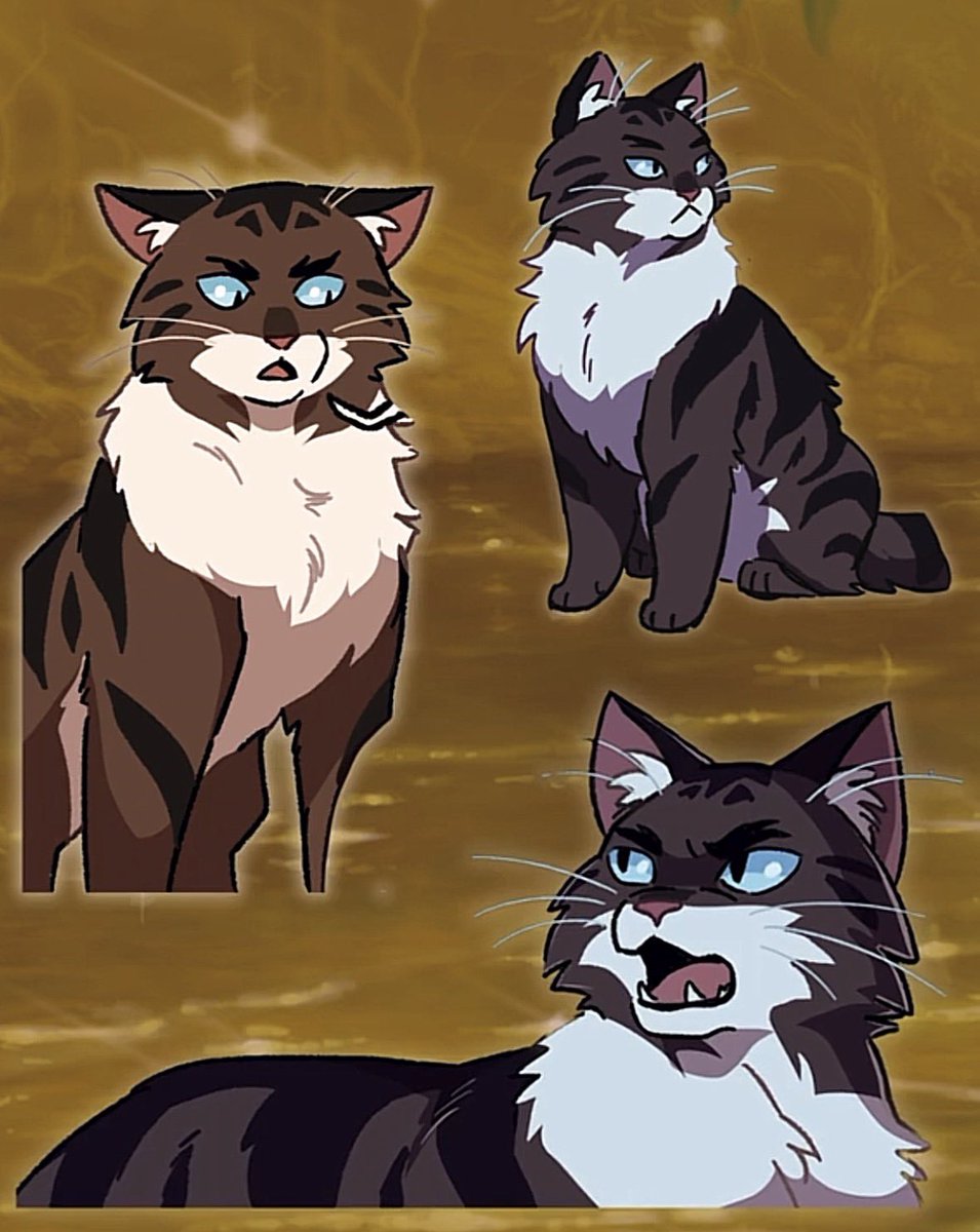 Tigerstar’s #1 devoted follower★★ tweet media