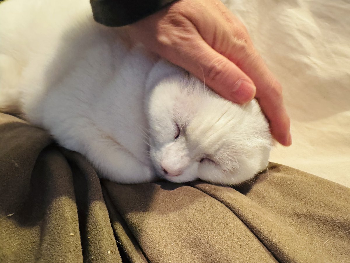 宮沢孝幸(Takayuki Miyazawa) tweet media