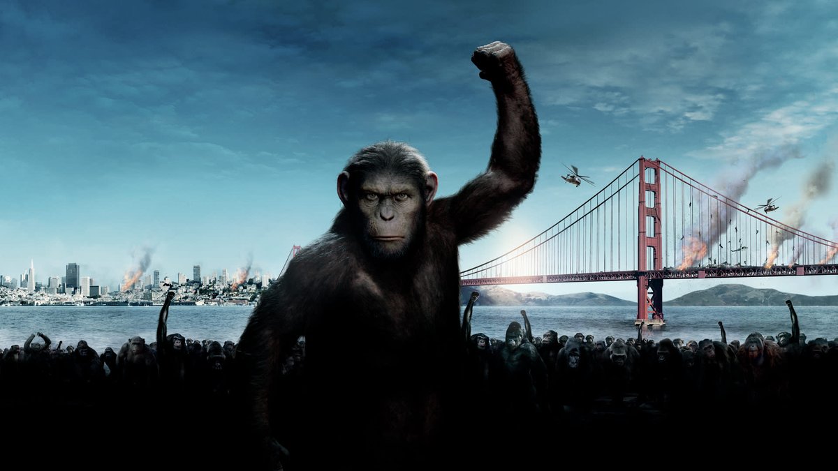 FineNDanDee's tweet photo. Next week is #ApeWeek for my films this year
Will be watching Planet of the Apes, Kong Skull Island, Monkey Man, The Monkey, Better Man, and more! All first watches ๐ https://t.co/kqFfydLd0h