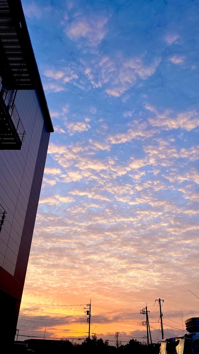 いたろぼ@ita camp tweet media