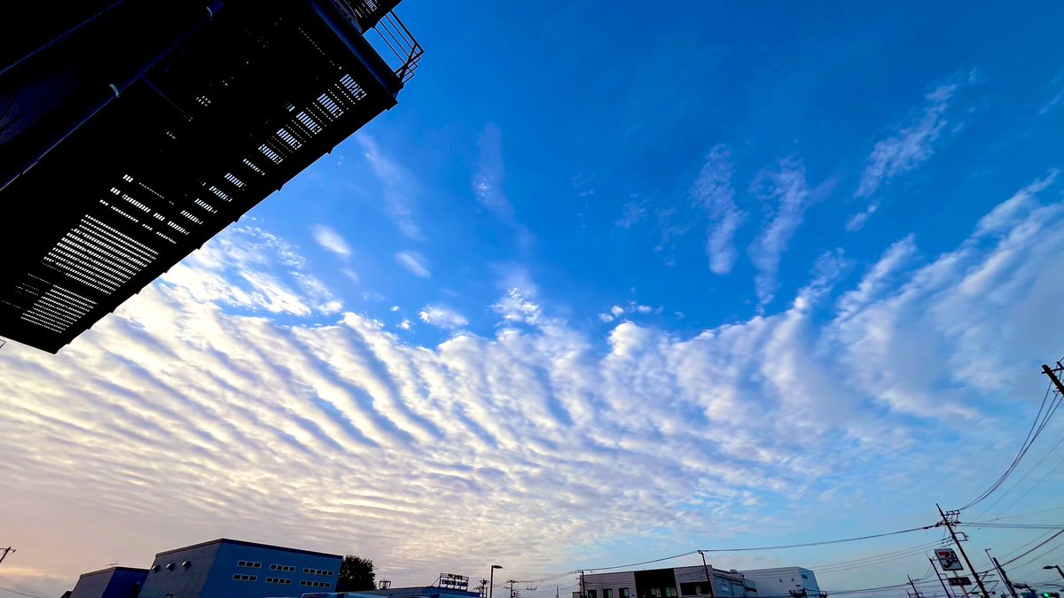 いたろぼ@ita camp tweet media