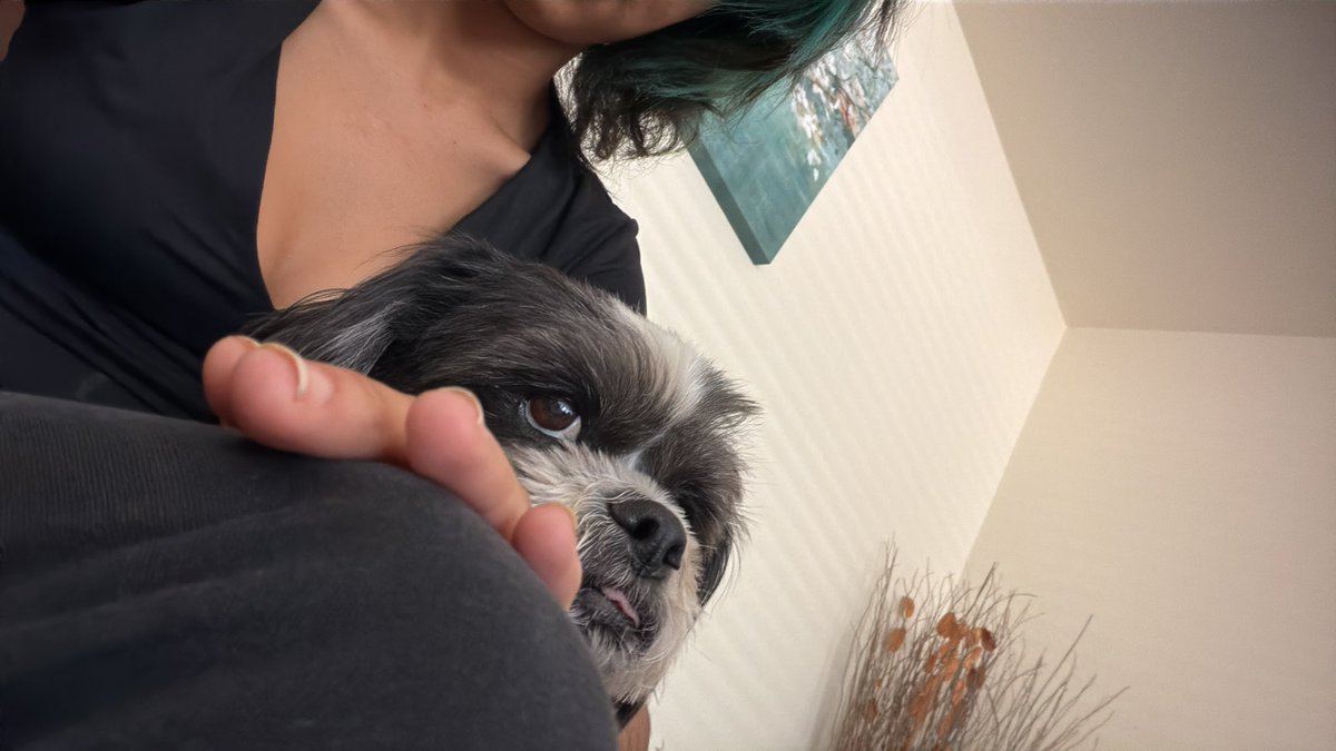 im so sick hes ADORABLE