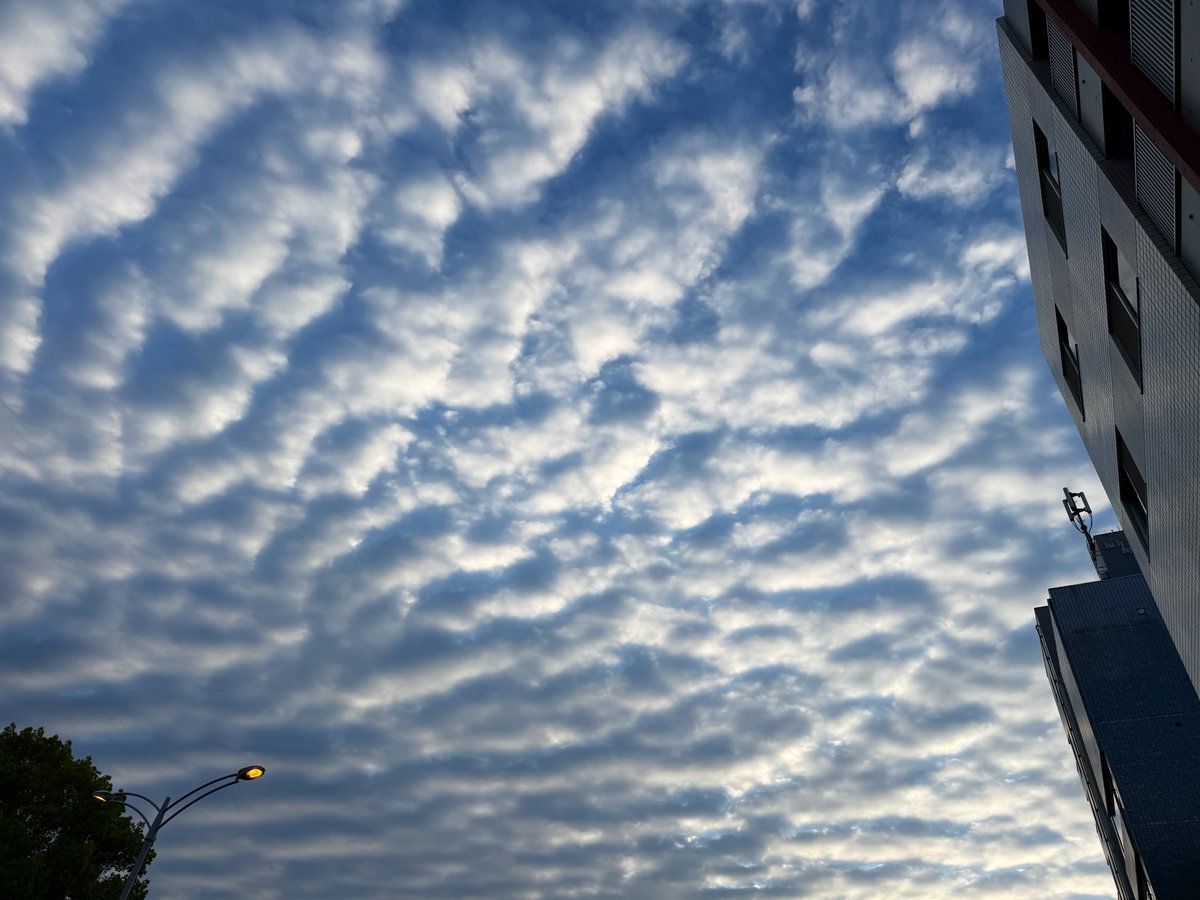 石川貴也 tweet media