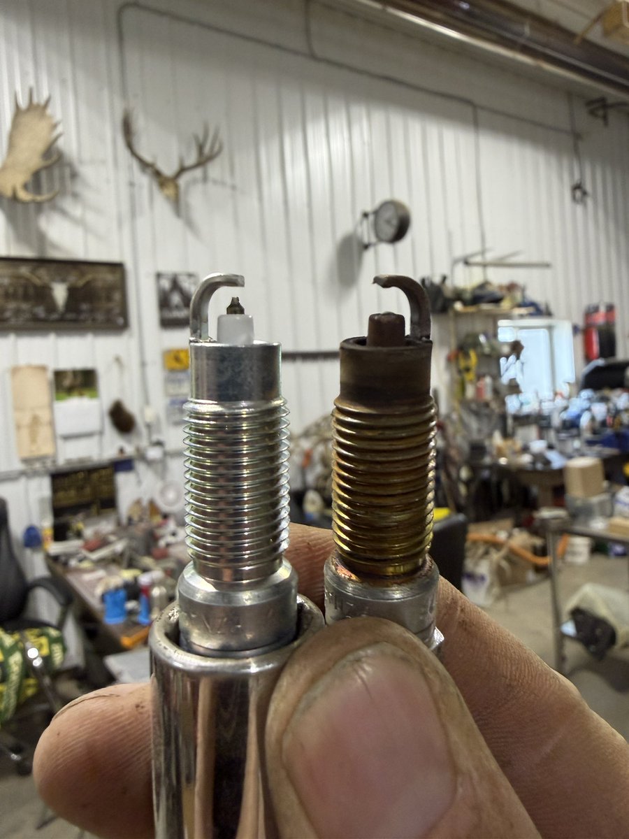 Clint Howard tweet media