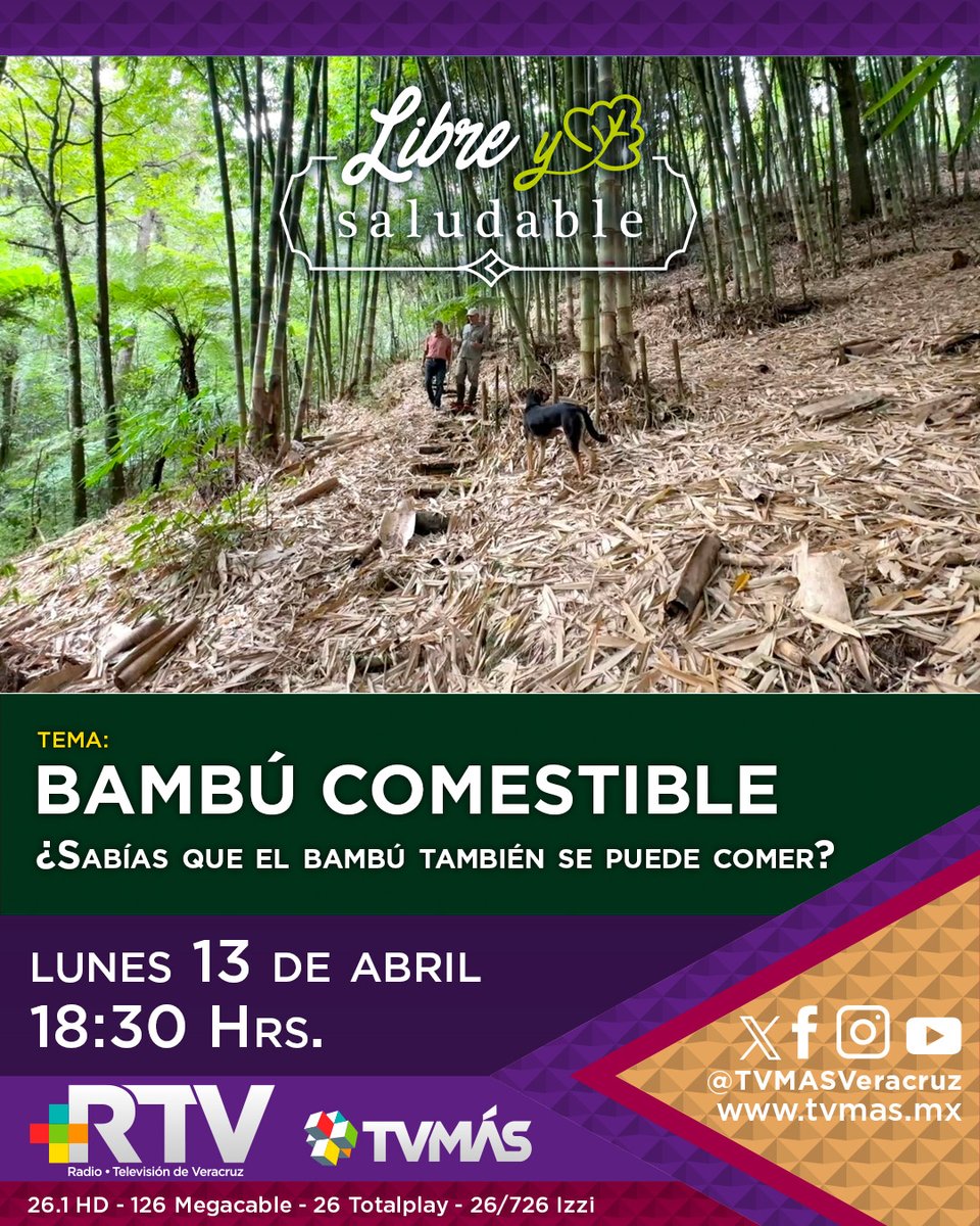 TVMÁS RTV tweet media