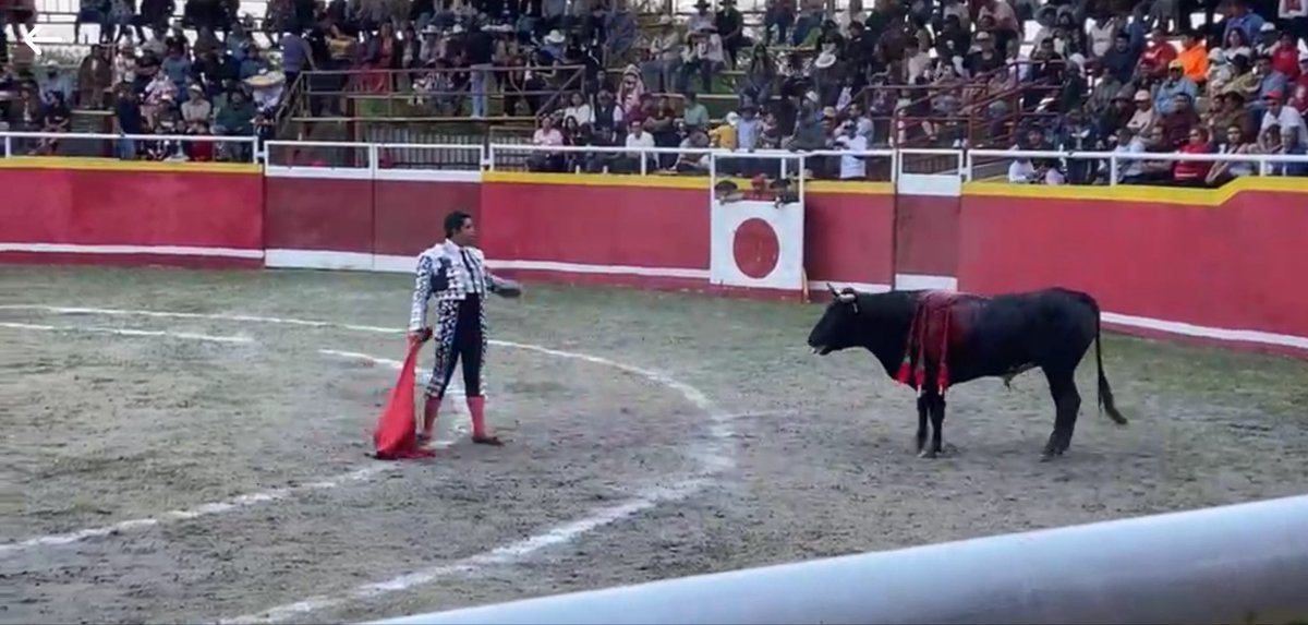 Movimiento Animalista de Puebla tweet media