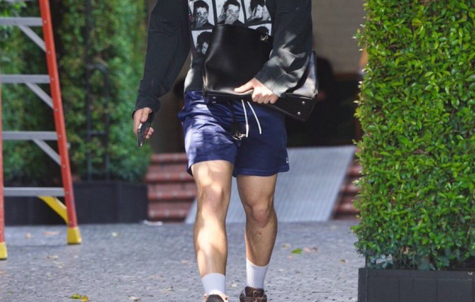 alana #1 carla’s song truther tweet media