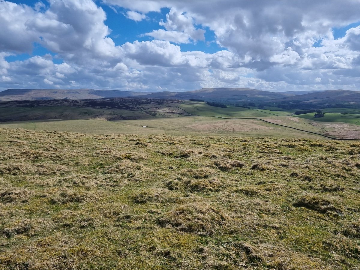 SheilaG17662835's tweet image. Today's #Wainwrightwalk covered some of the coast to coast route from lovely #cumbriawildlifetrust Smardale. We left the route to visit Crosby Garrett fell. The paths are not great but easy enough for the over 65s.#views over the #dales
are great . @keswickbootco