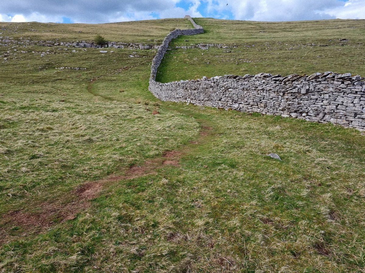 SheilaG17662835's tweet image. Today's #Wainwrightwalk covered some of the coast to coast route from lovely #cumbriawildlifetrust Smardale. We left the route to visit Crosby Garrett fell. The paths are not great but easy enough for the over 65s.#views over the #dales
are great . @keswickbootco