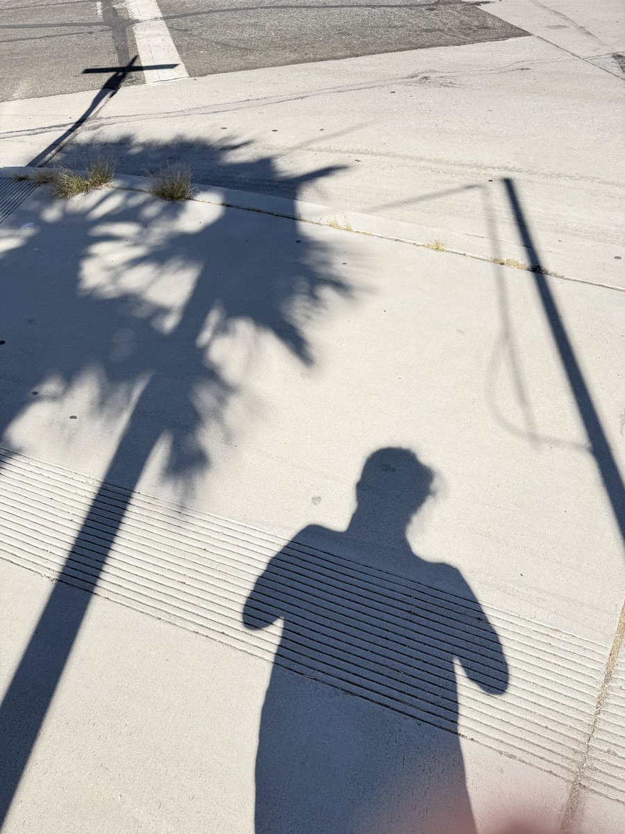 Vincent Vittorio tweet media