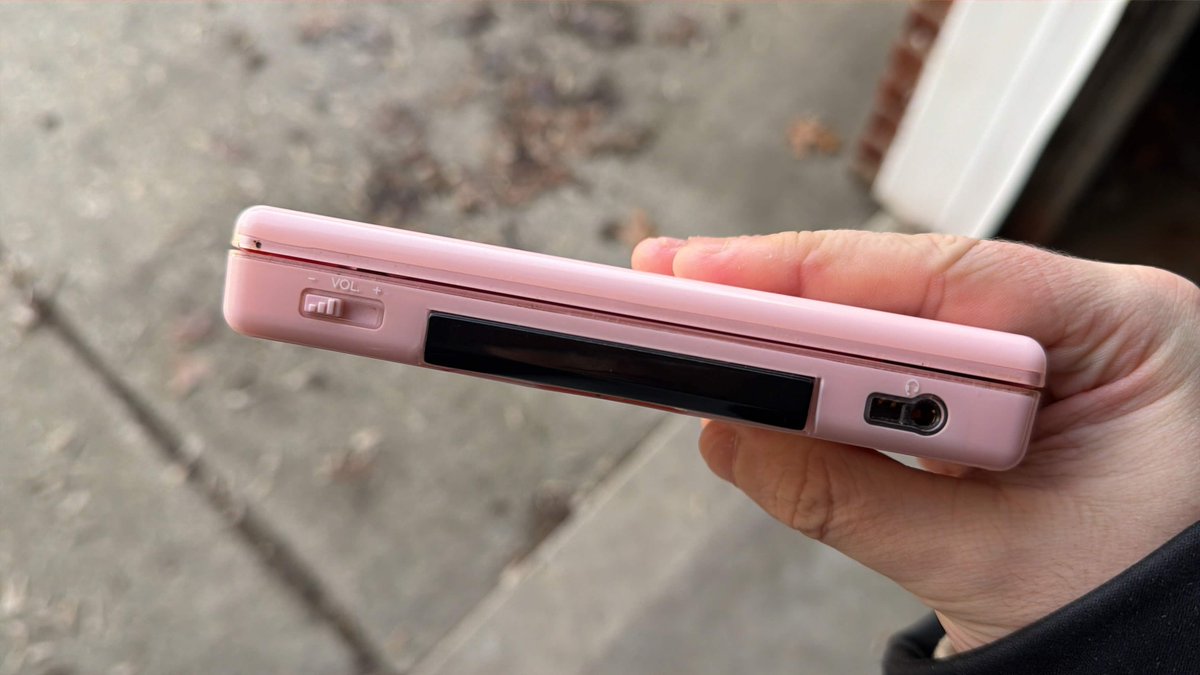 MonkeyNess tweet media