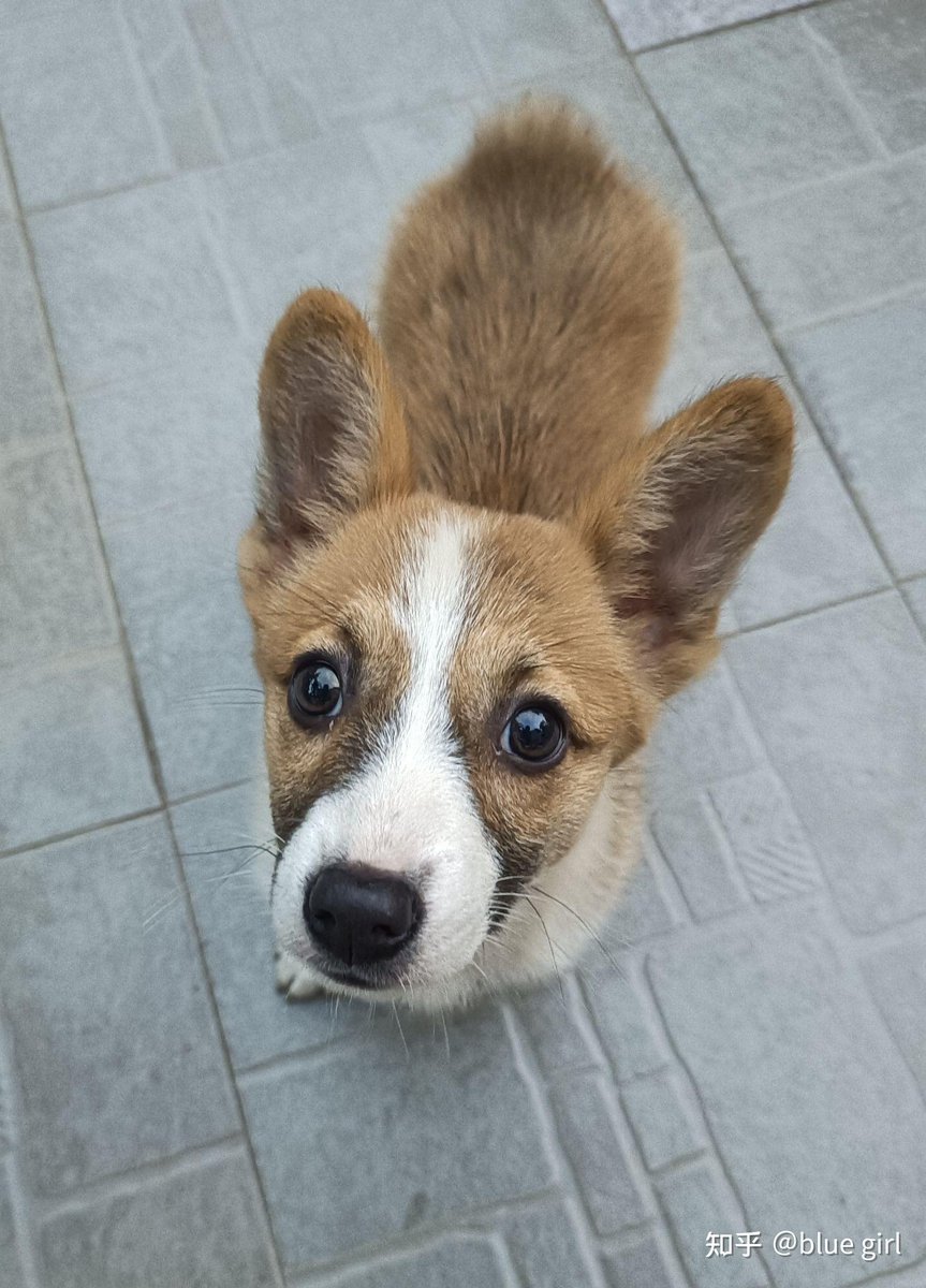 Aniruddha Patki tweet media