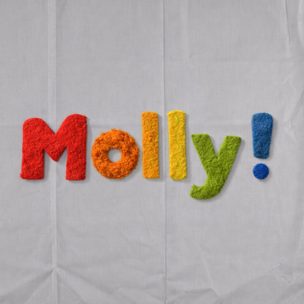 Molly 🟠 tweet media