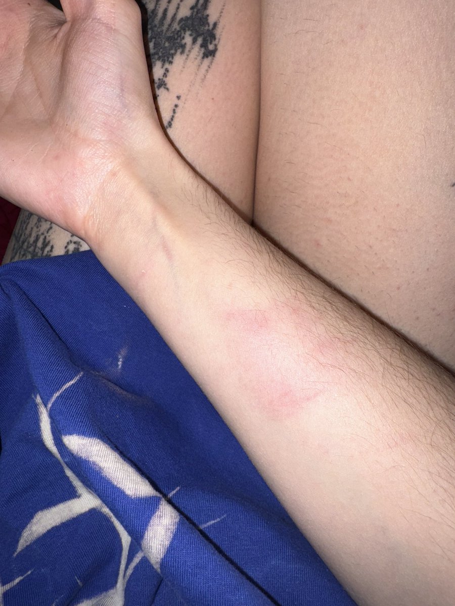 AstrAngélica tweet media