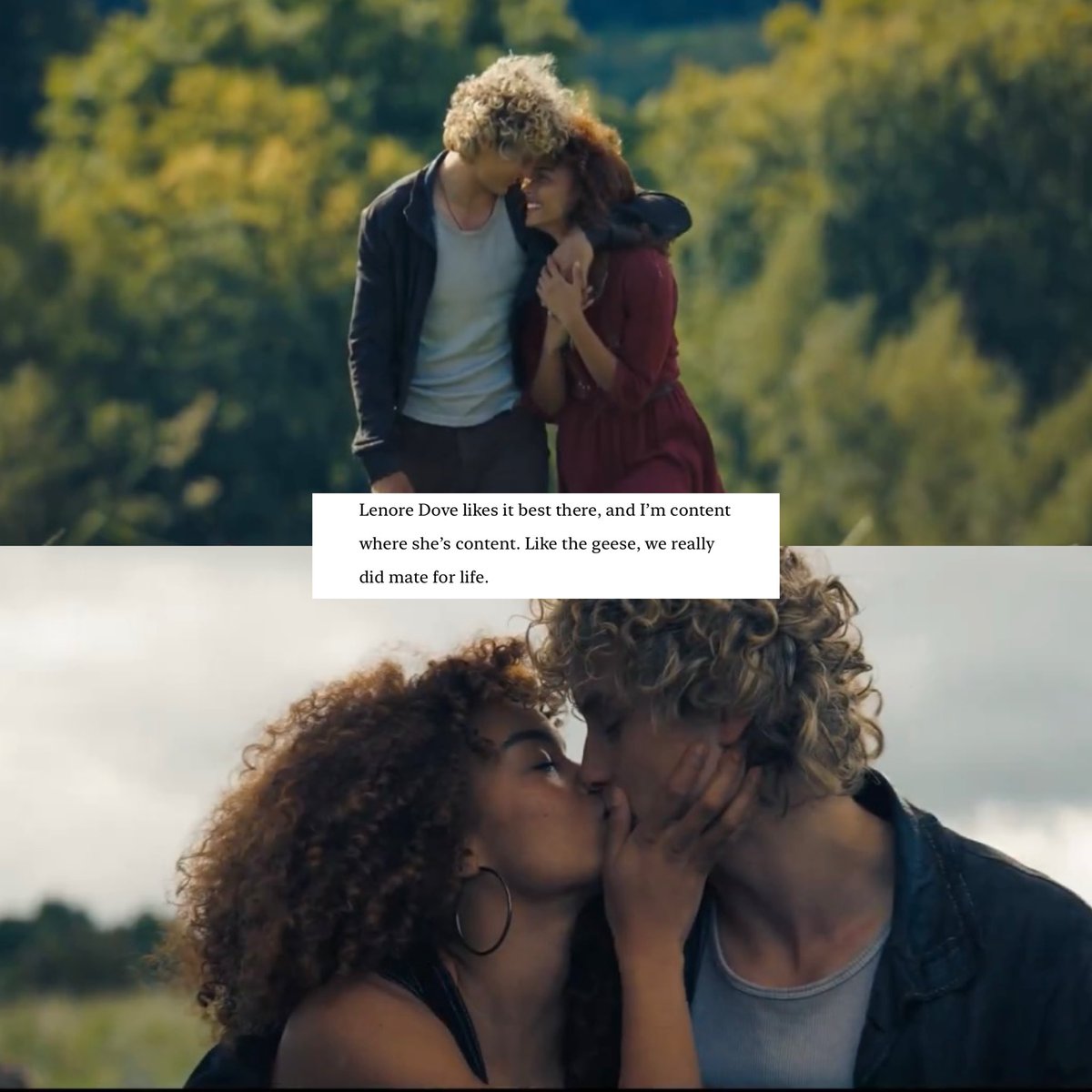 haydovepilled tweet media