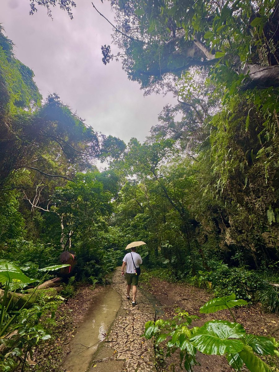 kouji.yama tweet media