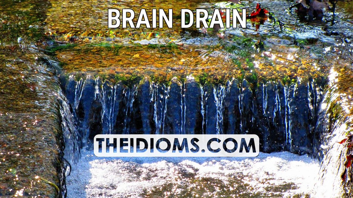 The Idioms tweet media