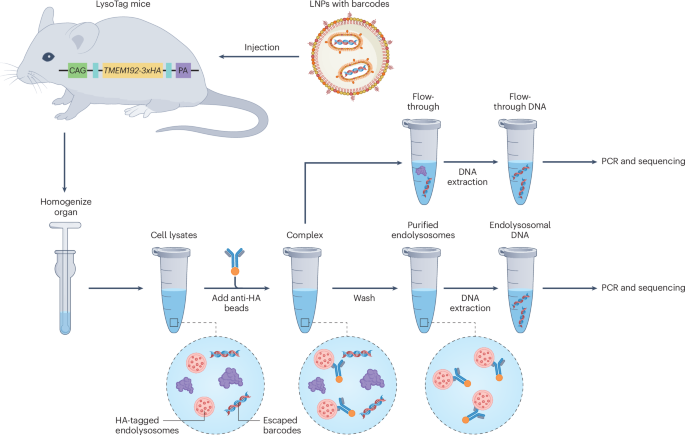 Nature Biotechnology tweet media