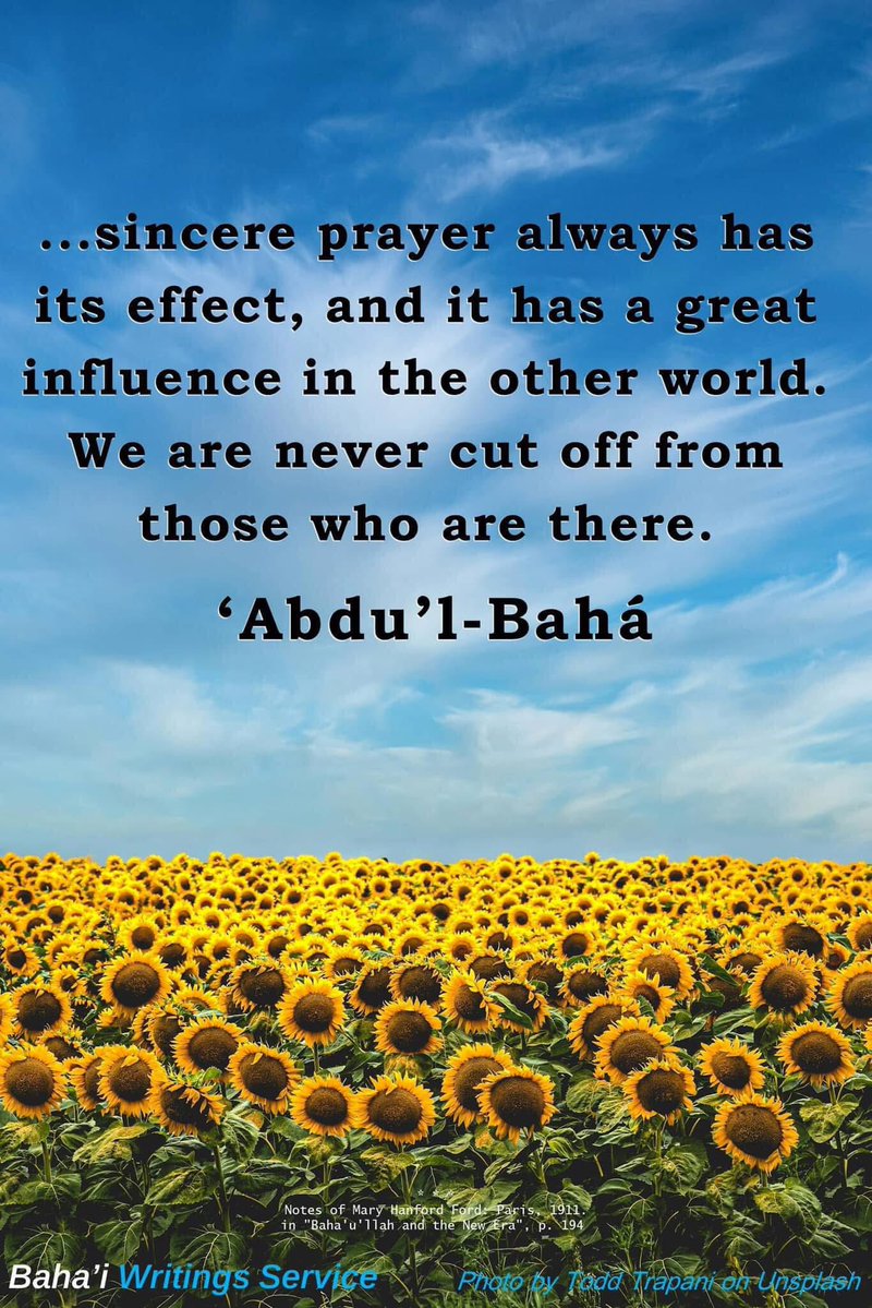 Ryan Daniels tweet media