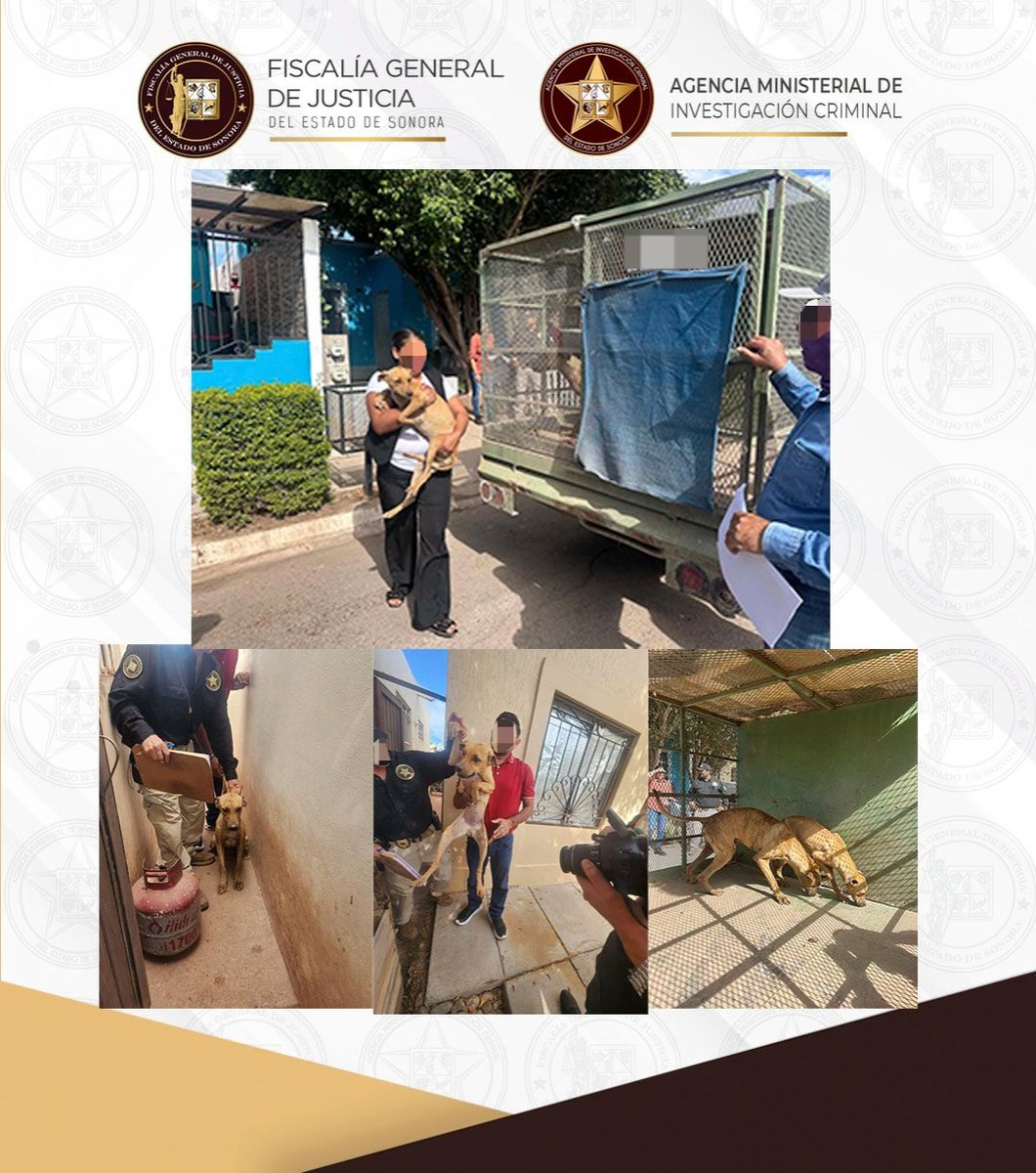 Fiscalía de Sonora tweet media